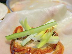 -守柴炉烤鸭(乐山万达店)