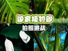 -国家植物园