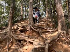-灵岩山风景区