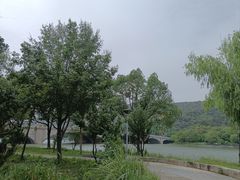 -长广溪湿地公园