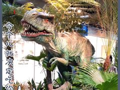 -正佳自然科学博物馆