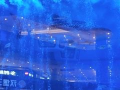 -成都浩海立方海洋公园