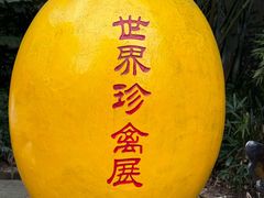 -深圳野生动物园