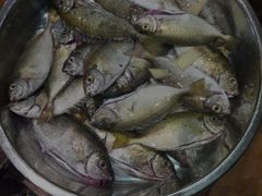 -顺德粥城·叹茶食粥(良化店)