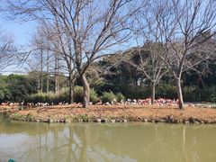 -上海野生动物园