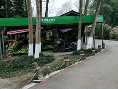 -桤木河湿地公园