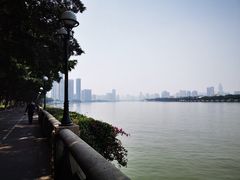 -珠江夜游广州塔·中大码头