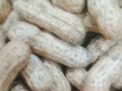 -学习谷日语培训日本留学·多语种外语教学(海淀人大分部)