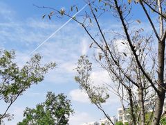 -昆山城市生态森林公园