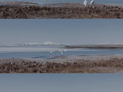 -赛里木湖风景名胜区