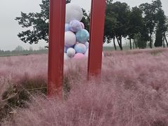 -汉长安城未央宫国家考古遗址公园