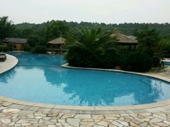 android_upload_pic-旺山景区