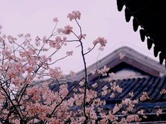 -拙政园