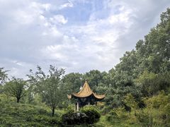 -河南省黄河迎宾馆