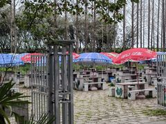-上海滨江森林公园