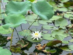 -时间仓(月湖公园店)