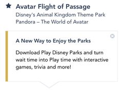 -奥兰多迪士尼动物王国乐园