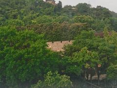 -七欣天香辣蟹火锅(南京建宁路大观天地店)
