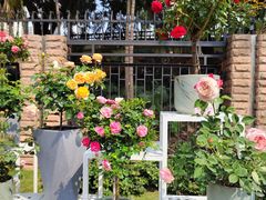 -人民公园(罗湖区)