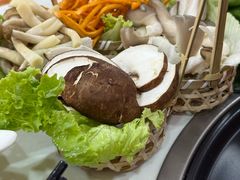 -藏味八珍特色火锅