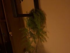 -泰·菩提树下[泰式按摩x精油SPAx肩颈头疗](新景店)