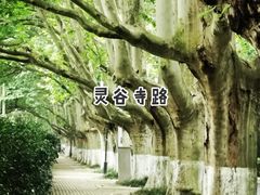 -灵谷景区