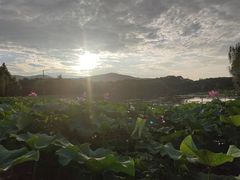 -江南大学(蠡湖校区)