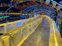 -哈尔滨热雪奇迹