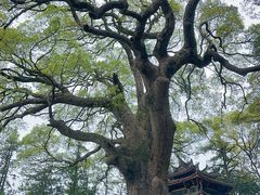 -安溪清水岩