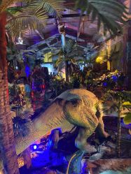 -恐龙探索乐园(磁器口店)