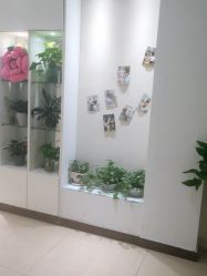 -Dr.林醫生产后修复·配方产康店(南京大厂店)