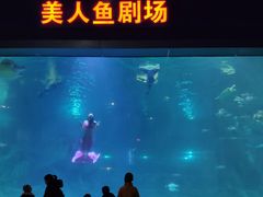 -福州罗源湾海洋世界旅游区