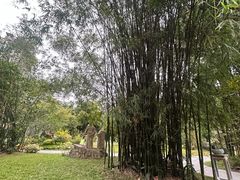-晓港公园