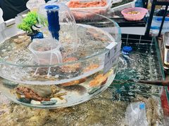 -健跳小海鲜(人民路店)