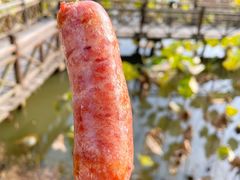 -合肥滨湖国家森林公园