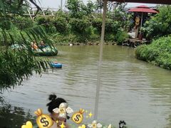 -樂桃源奉贤黄桃种植采摘基地