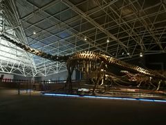 -世界恐龙谷景区