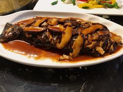 -素心斋素食餐厅