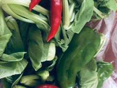 -前小桔亲子创意农场·草莓采摘·露营烧烤