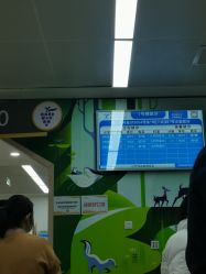 -上海交通大学医学院附属上海儿童医学中心(陆家嘴总院区)