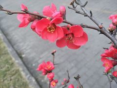 -中国计量大学(西校区)
