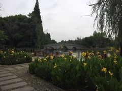 -河泥荡文化公园