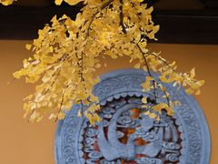 -龙华素斋(龙华路店)