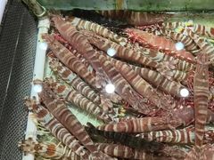 -强记海鲜·大排档(蛇口新街店)