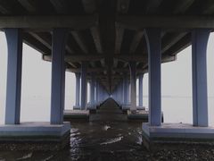 -宝安西湾红树林湿地公园