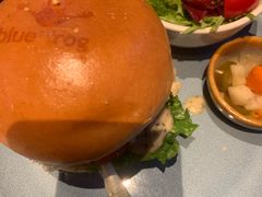 -blue frog蓝蛙(长泰广场店)