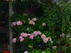 -证大大拇指广场(芳甸路店)