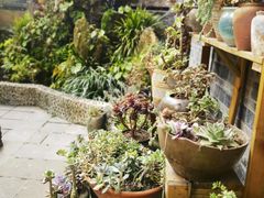 -华冠悠岚·庭院餐厅(青城后山店)