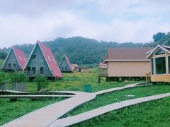 -关山草原