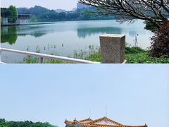 -广州雕塑公园